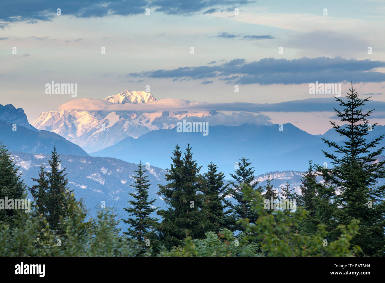 Blick auf den Mont Blanc Gipfel aus der Park natürlichen von La Chartreuse, Savoie, Rhône-Alpes, Frankreich Stockfoto