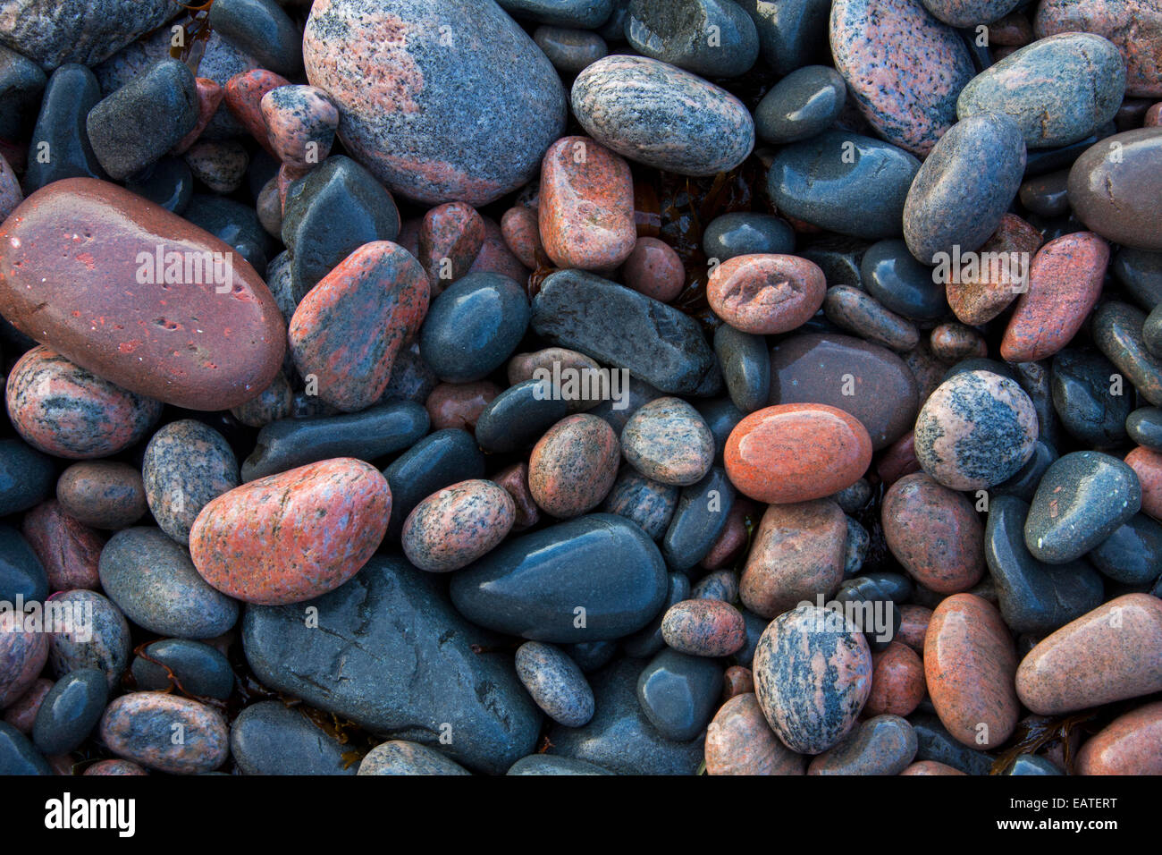 Nahaufnahme der nassen bunte Kieselsteine am Strand bei Ebbe Stockfoto