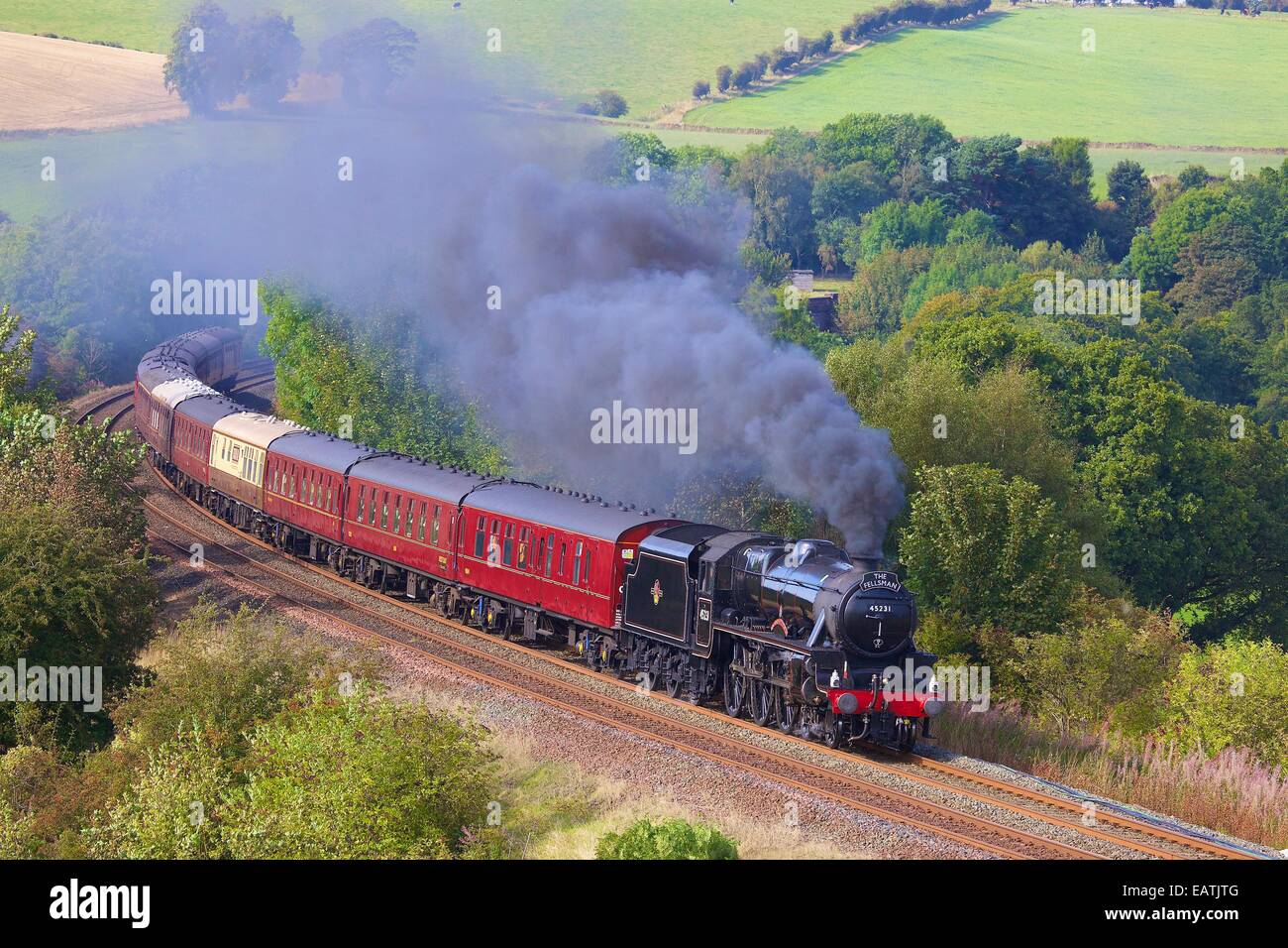 Dampfzug den Sherwood Förster in der Nähe von Low Baron Holz Bauernhof, Armathwaite, Settle nach Eisenbahnlinie Carlisle, Cumbria, England. Stockfoto