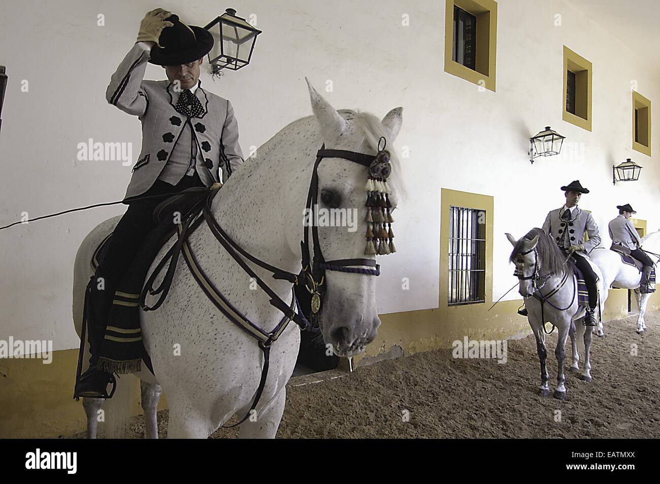 Reiter auf dem Pferd an der Royal andalusischen Schule der Reitkunst. Stockfoto