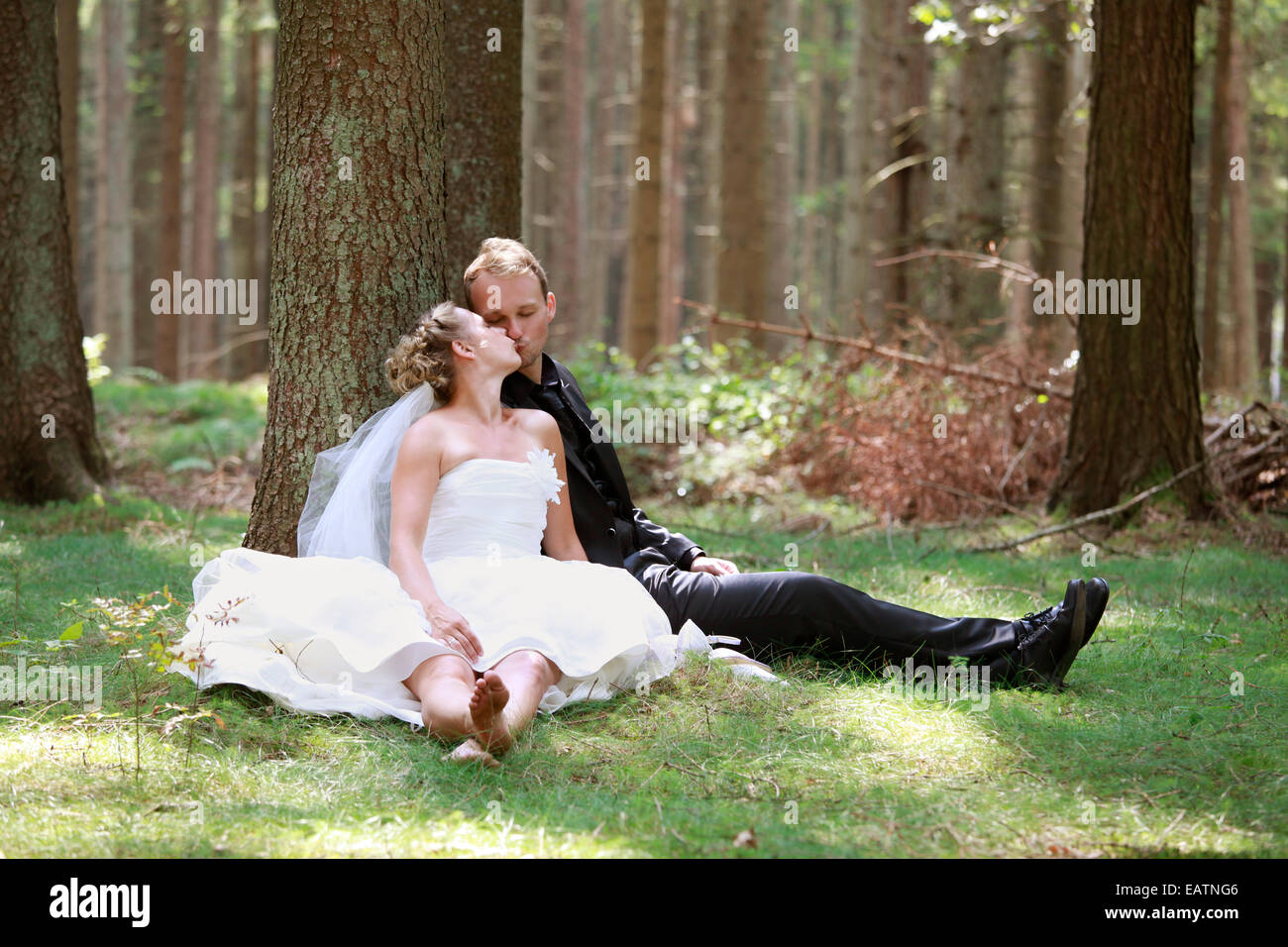 Braut und Bräutigam bei der Hochzeit im Wald schießen Stockfoto