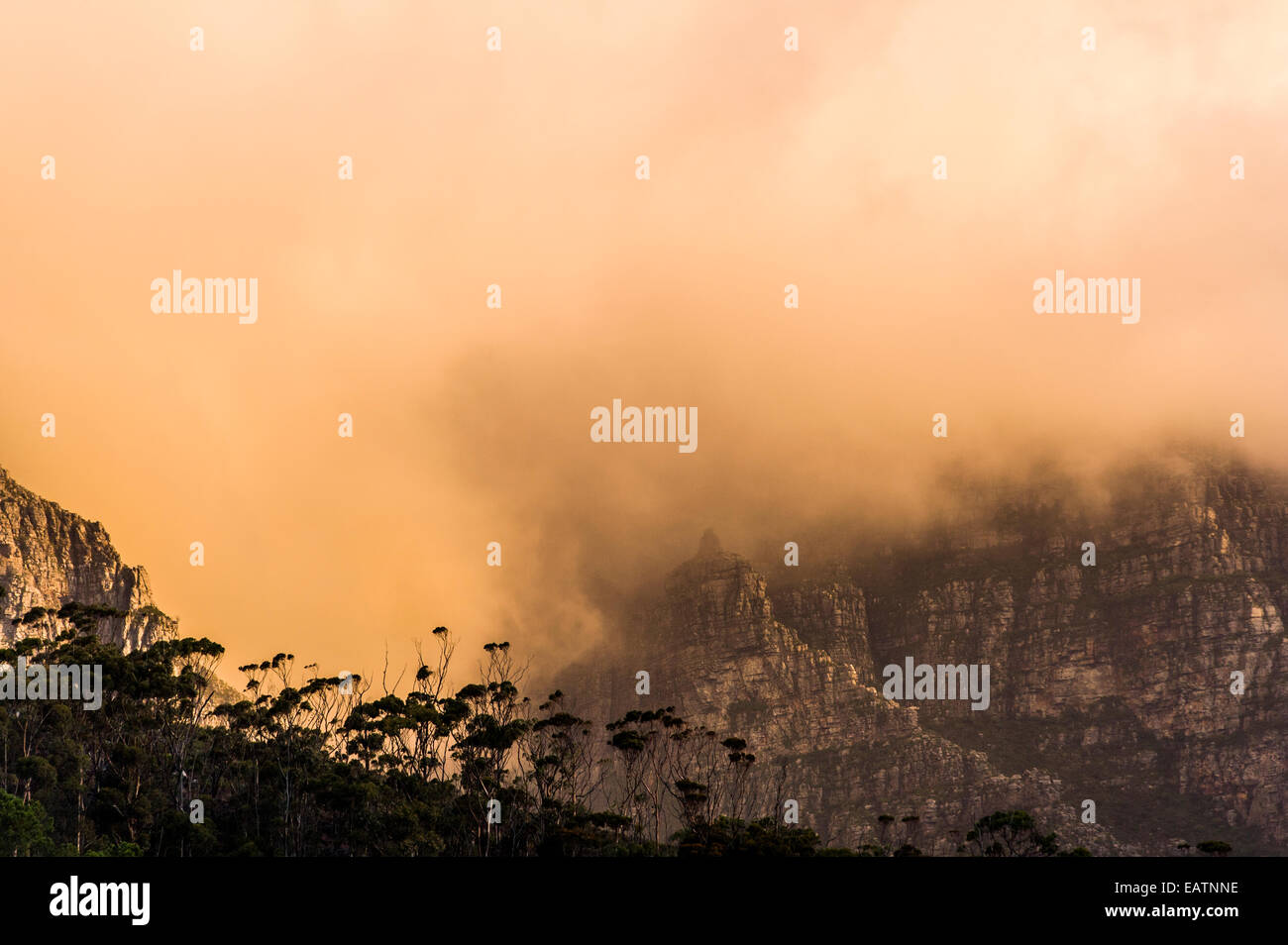 Ein Eukalyptuswald unter eine schroffe Klippe Gesicht und Sturm-Front. Stockfoto