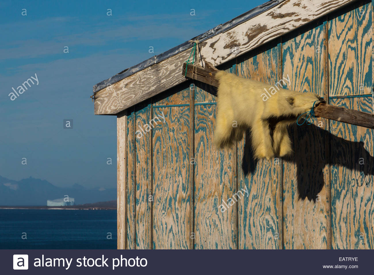 Ein Eisbär Fell hängt aus einem Amt in einem Indianerdorf. Stockfoto
