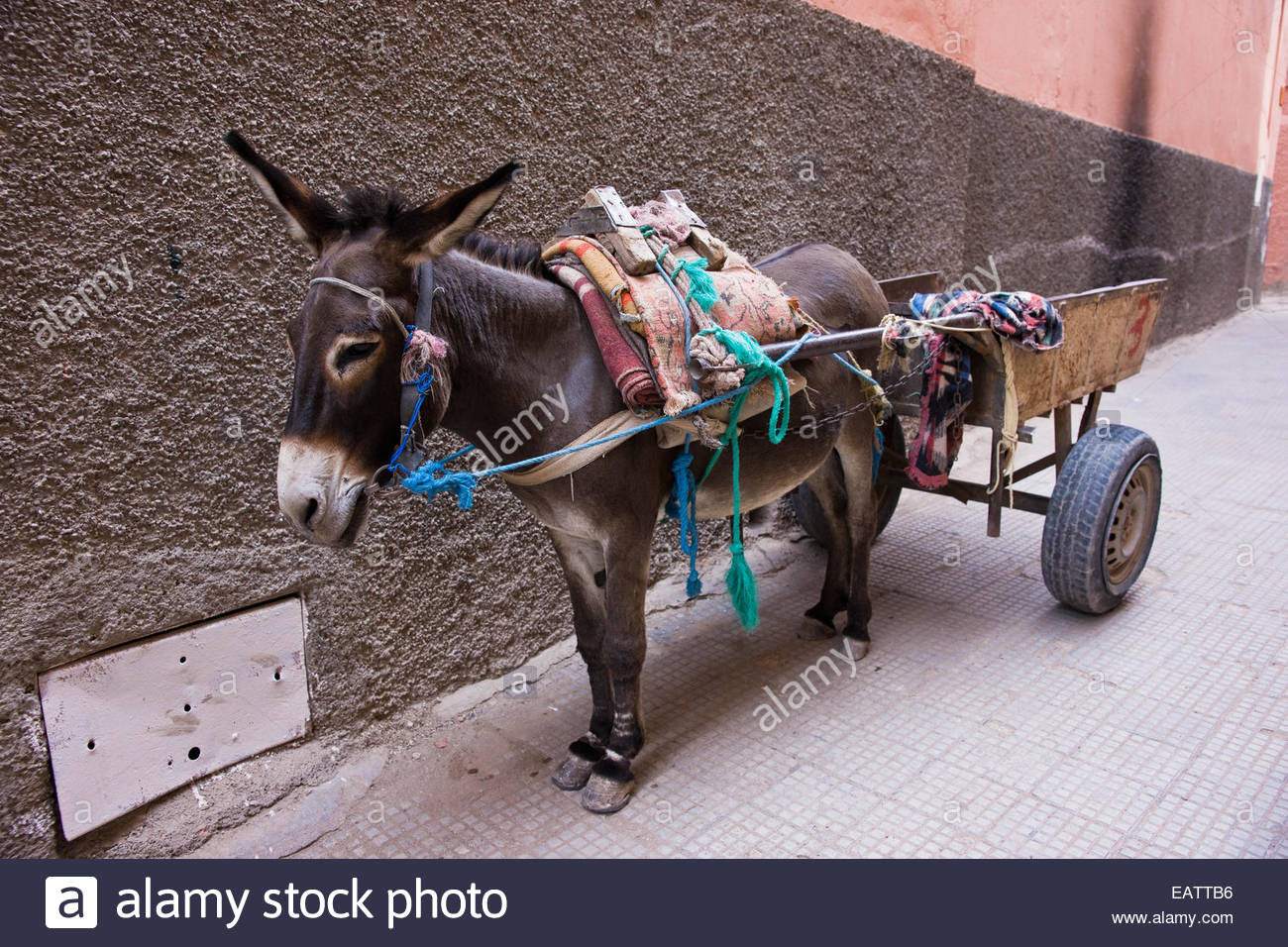 Ein Esel Zieht Einen Karren Auf Den Strassen Von Marrakesch