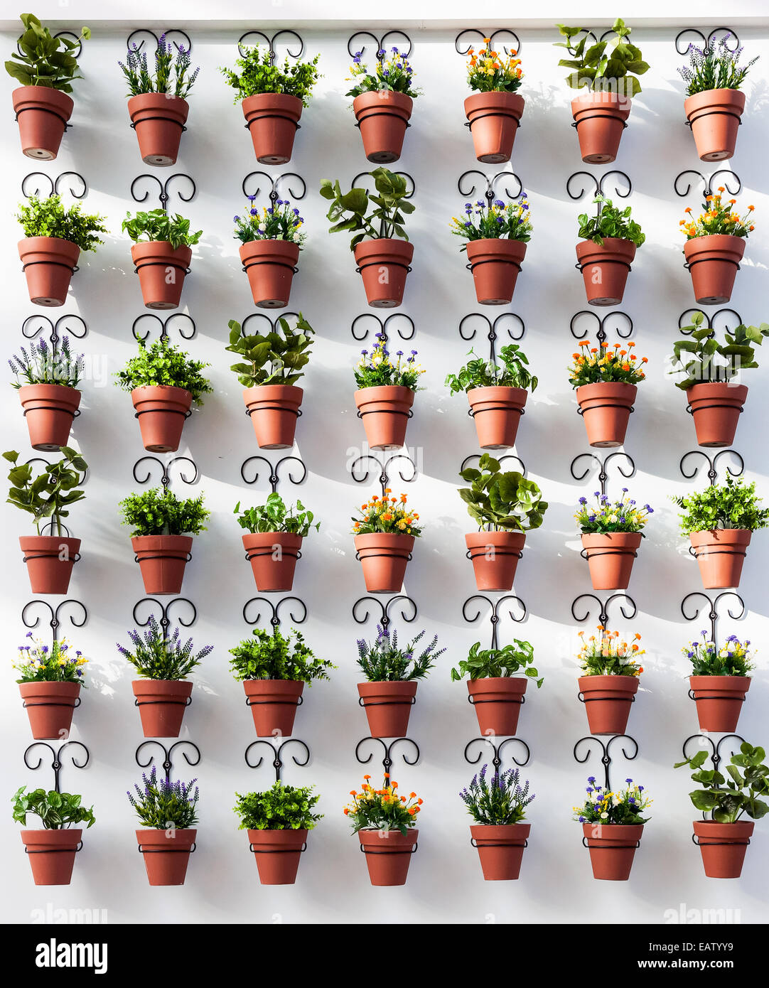 Wand mit dekorativen Blumentöpfe als Hintergrund Stockfoto