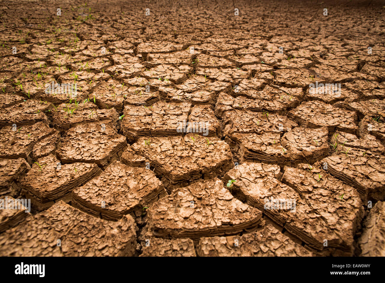 Dürre Boden im Süden von Äthiopien, Afrika Stockfoto