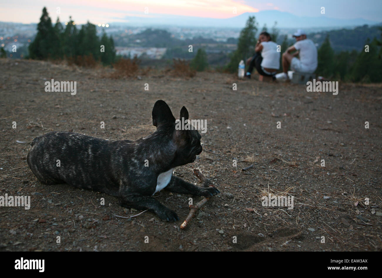 Nicht erkennbare paar sitzt oben auf dem Hügel, beobachten den Sonnenuntergang mit ihrem Hund Stockfoto
