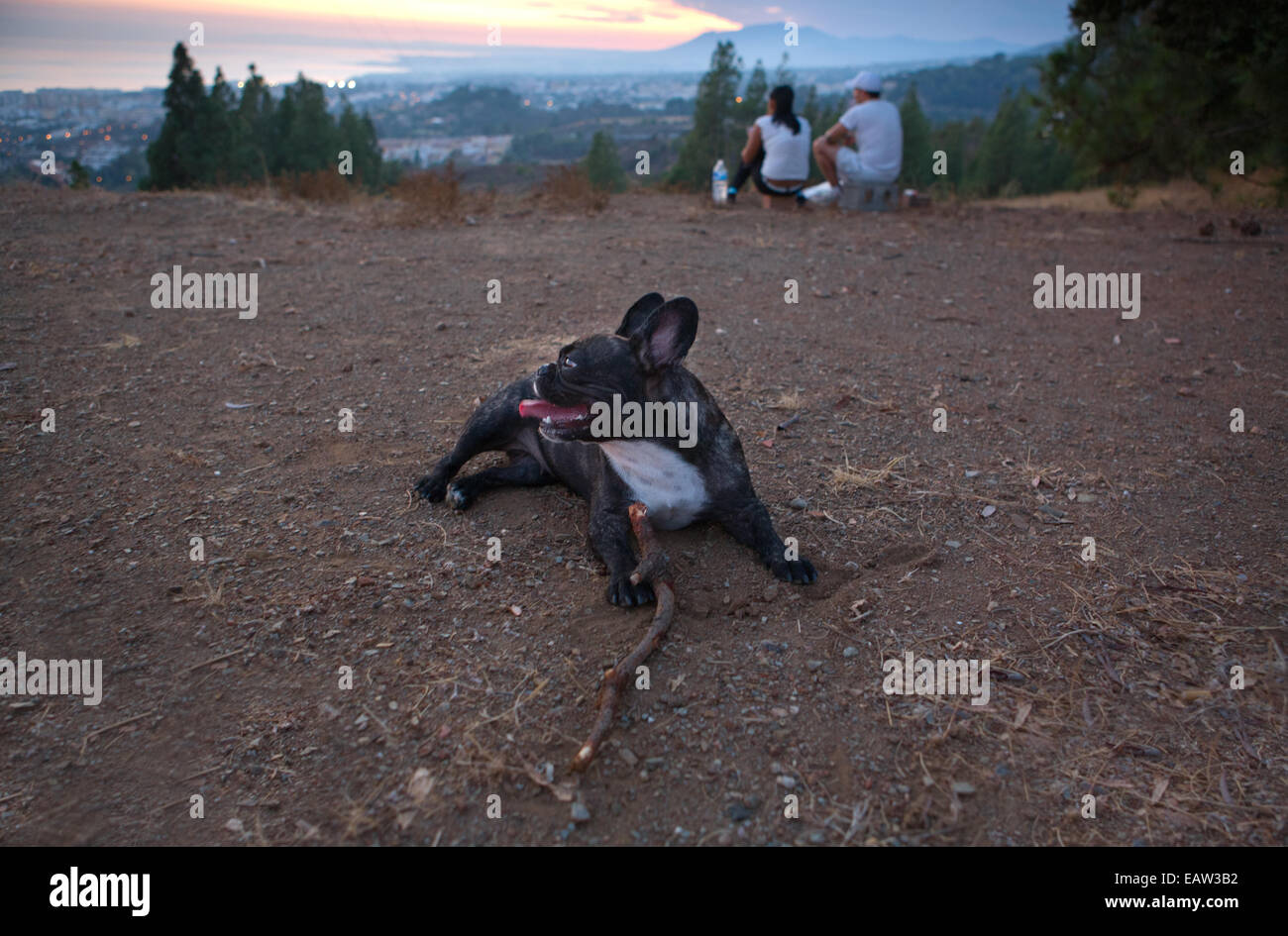 Nicht erkennbare paar sitzt oben auf dem Hügel, beobachten den Sonnenuntergang mit ihrem Hund Stockfoto