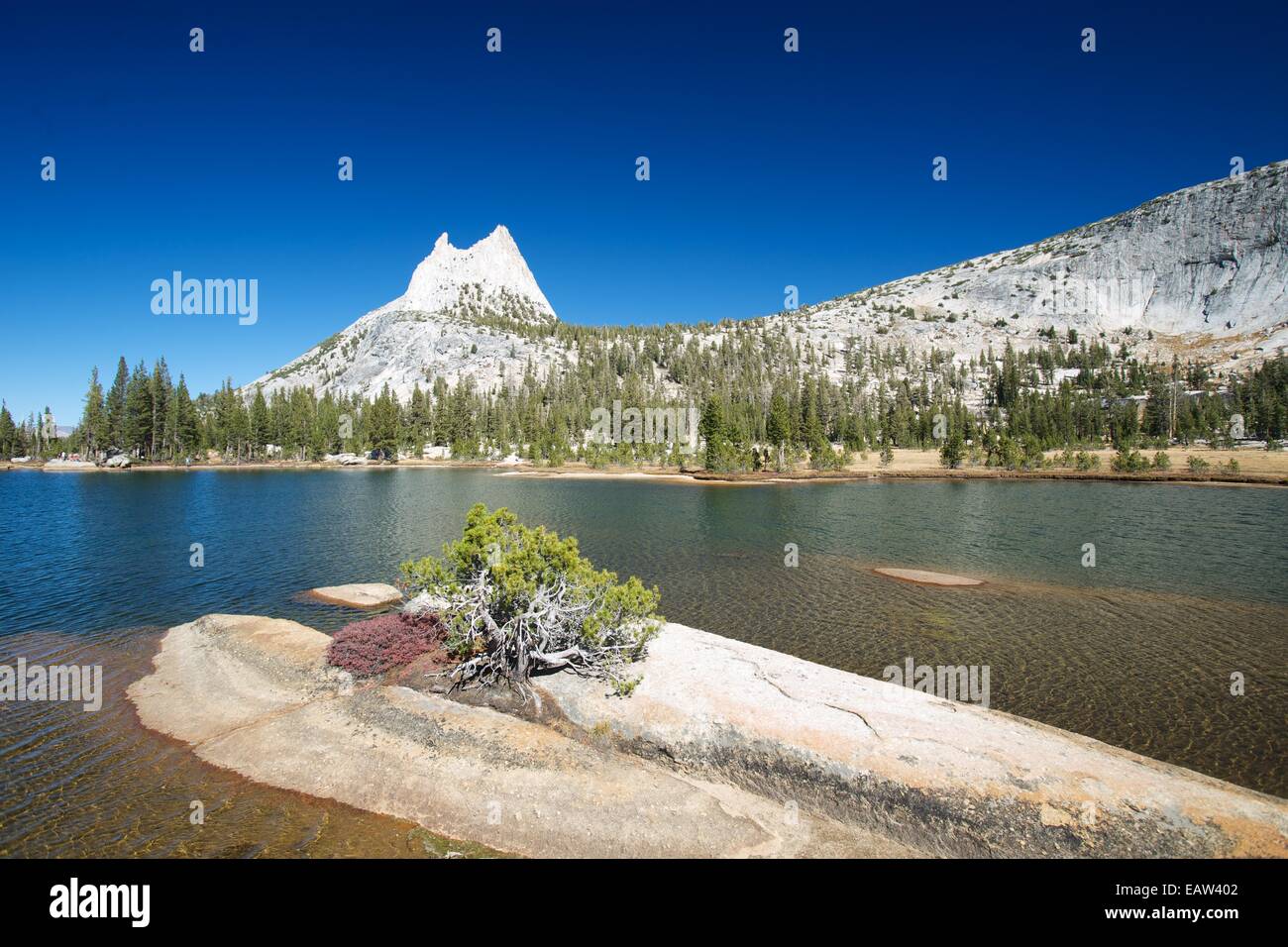 Sonnenuntergang mit reflektierenden Cathedral Peak in Upper Cathedral Lake Yosemite-Nationalpark Stockfoto