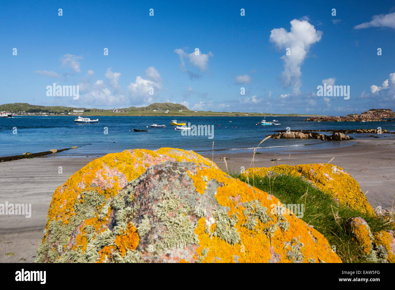 Flechten Sie bedeckten Granitfelsen am Fionnphort Isle of Mull, Schottland, mit Blick auf Iona. Stockfoto
