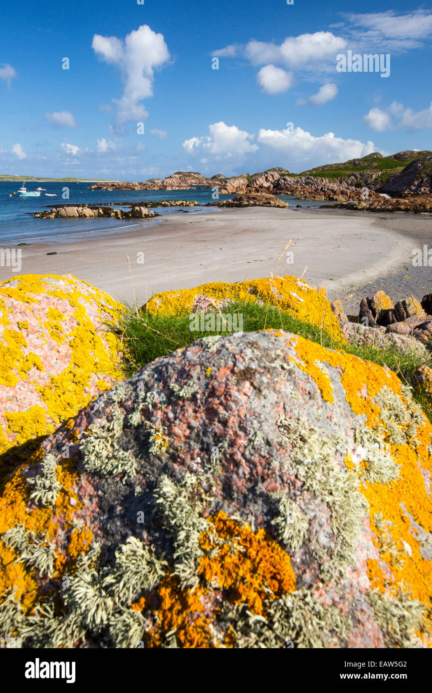 Flechten Sie bedeckten Granitfelsen am Fionnphort Isle of Mull, Schottland, mit Blick auf Iona. Stockfoto