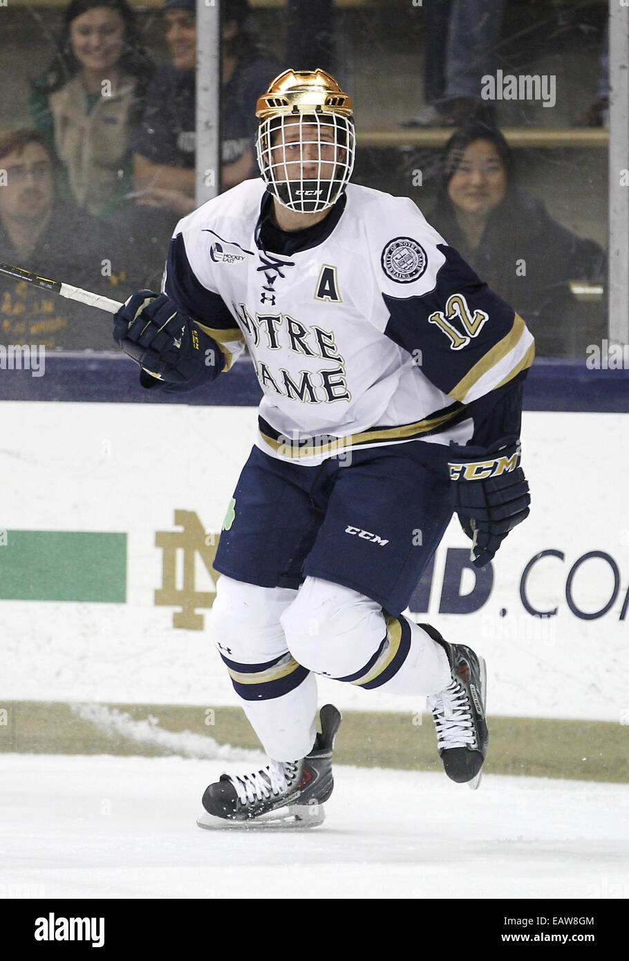 South Bend, Indiana, USA. 20. November 2014. Notre Dame Linksaußen Sam Herr (12) während der NCAA Hockey Spiel Action zwischen den Notre Dame Fighting Irish und die UMass Lowell River Hawks in Compton Familie Ice Arena in South Bend, Indiana. UMass Lowell besiegte Notre Dame 3: 1. © Csm/Alamy Live-Nachrichten Stockfoto