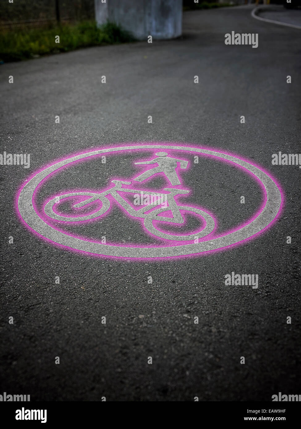 Rosa Fahrrad Straßenschild symbol auf Fahrrad Gassen Boden, Frau, Frauen, Mädchen, Frauen, Sport, gesund, Textfreiraum, Raum, Läufer zu kopieren Stockfoto