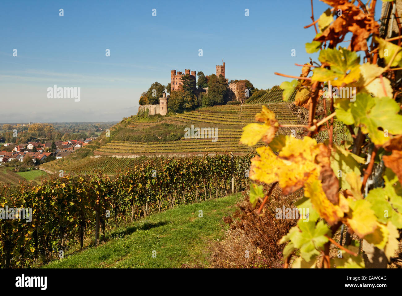 Schloss Ortenberg bei Offenburg, Schwarzwald, Baden-Württemberg, Deutschland Stockfoto