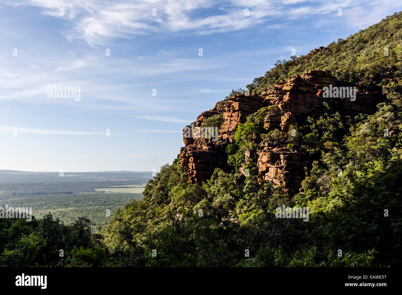 Eine bewaldete Schlucht mit Blick auf einen weiten Savannen-Ebene punktiert mit Wald. Stockfoto