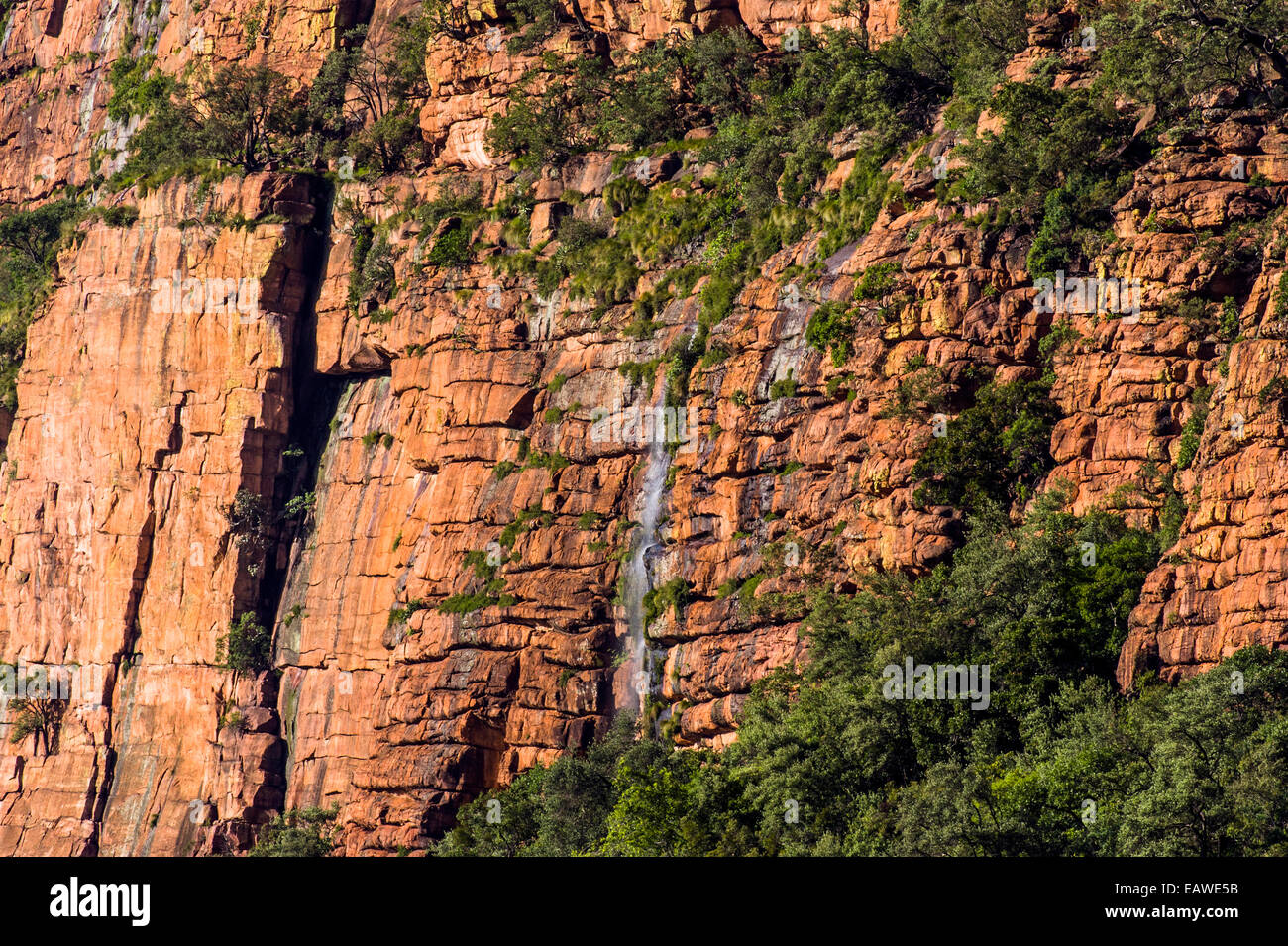 Ein Wasserfall Kaskaden hinunter eine schroffe Felswand in einen Wald unten. Stockfoto