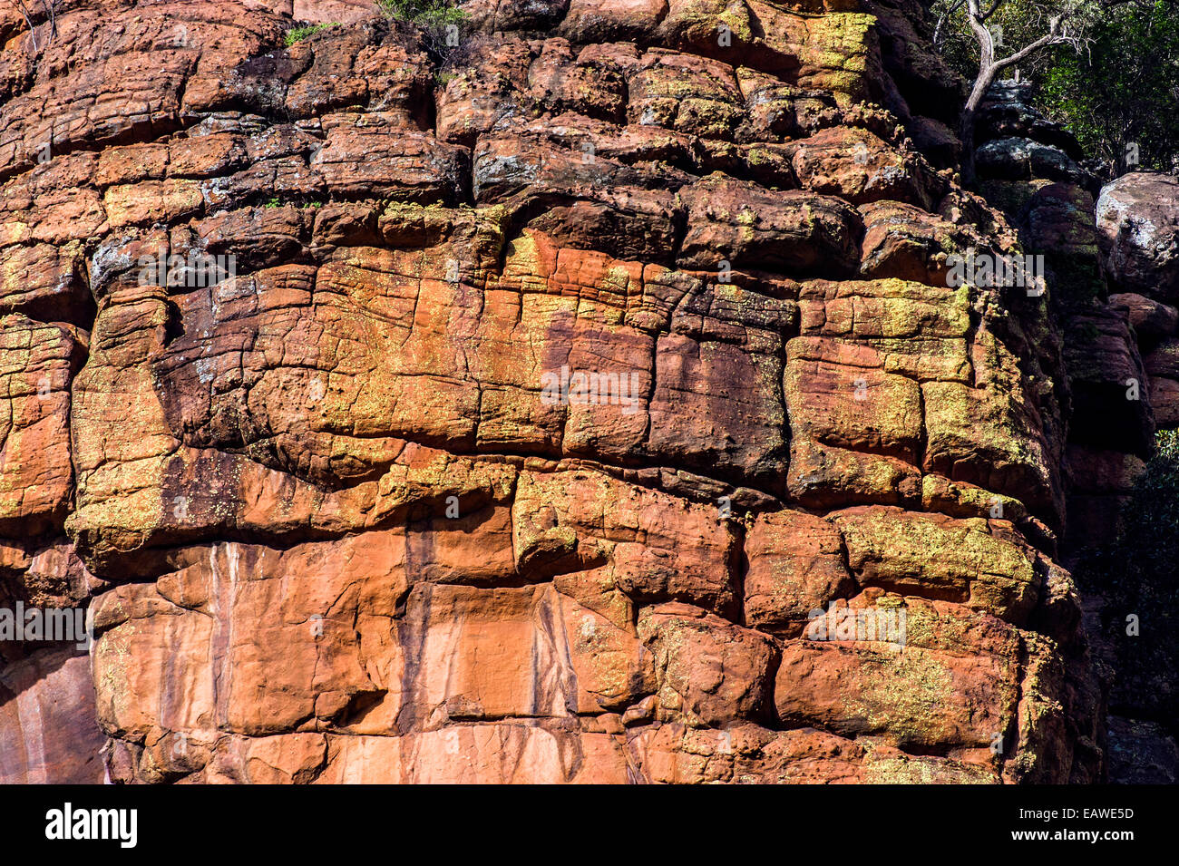 Gelbe Flechten inkrustieren rot-Oxid verwitterte Felsen. Stockfoto