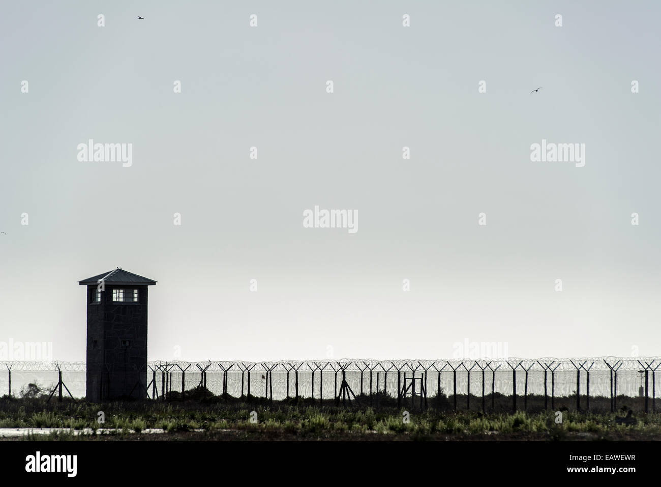 Zeilen aus Stahl und Draht mesh Fechten Surround einen Gefängnis und Wache Turm. Stockfoto