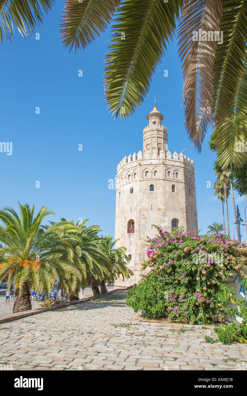 Sevilla - der mittelalterliche Turm Torre del Oro Stockfoto