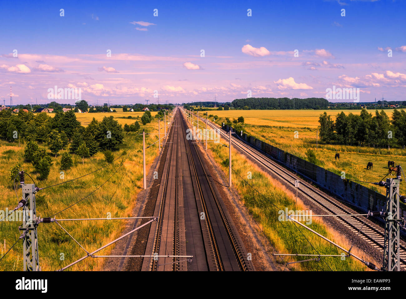 Schienen in Landschaft, grün orange Felder, blauen, violetten Himmel Stockfoto
