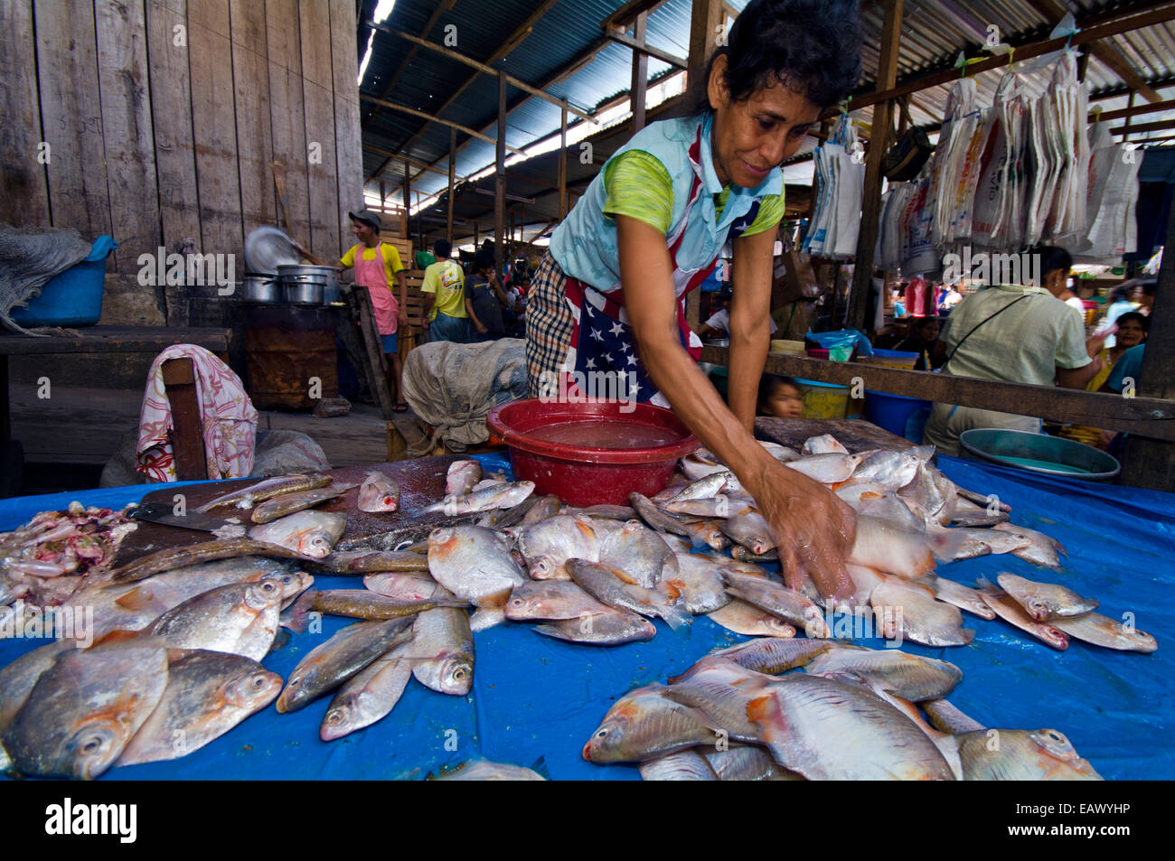 Eine Frau, die Sortierung Früchte fressende Fische aus der Familie der Piranha in einem Amazonas-Markt zu verkaufen. Stockfoto