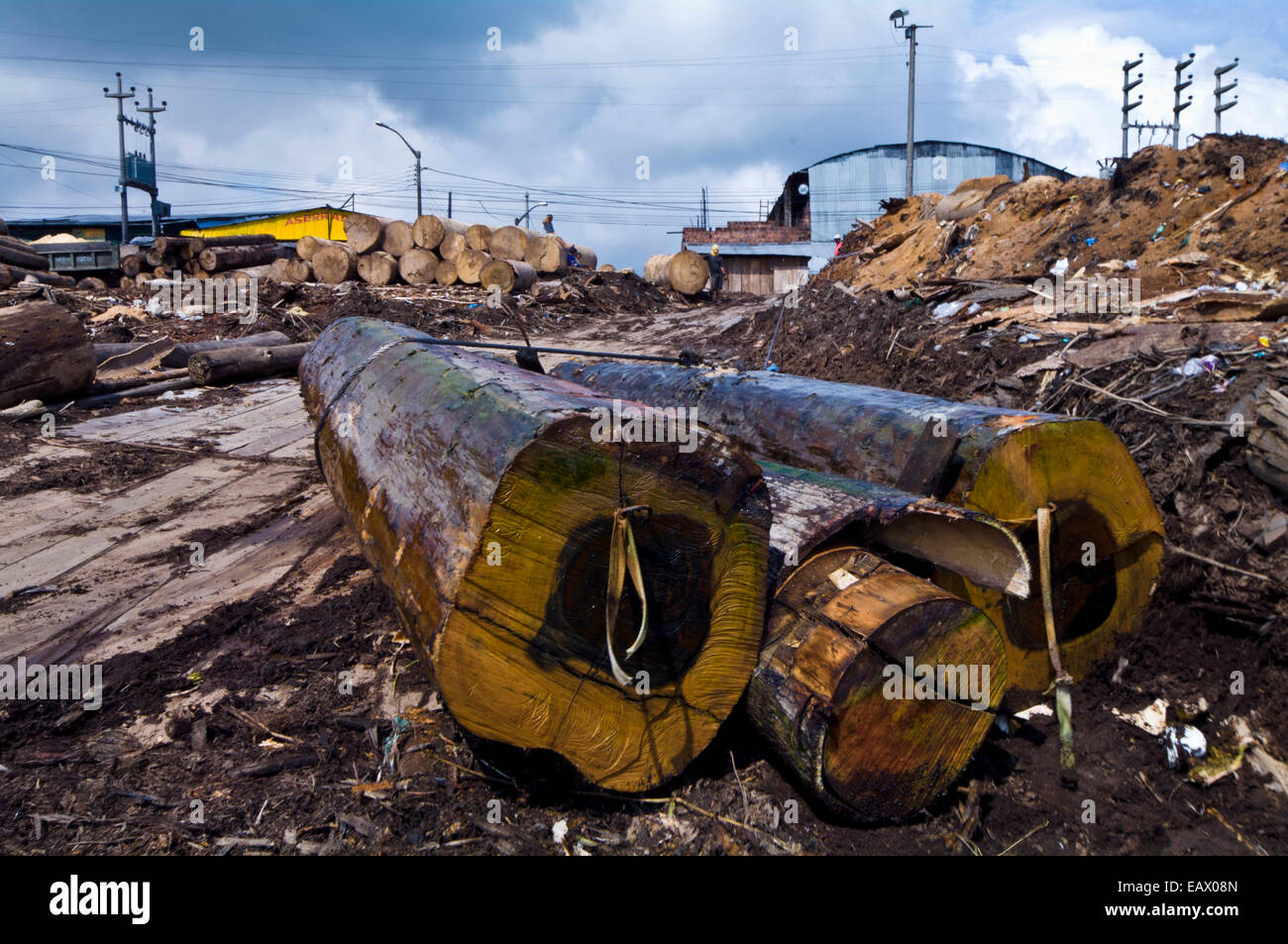 Protokolle aus dem Amazonas-Regenwald, gezogen von einem Lastkahn mit Stahlseilen an ein Sägewerk geschnitten. Stockfoto