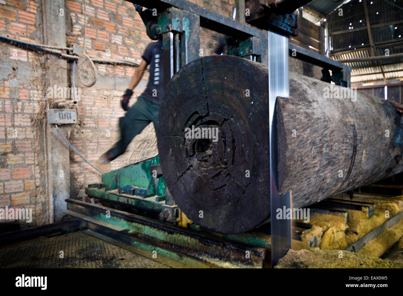 Eine Bandsäge durchschneidet einen Baumstamm geschnitten aus dem Amazonas-Regenwald in einer Protokollierung Mühle. Stockfoto