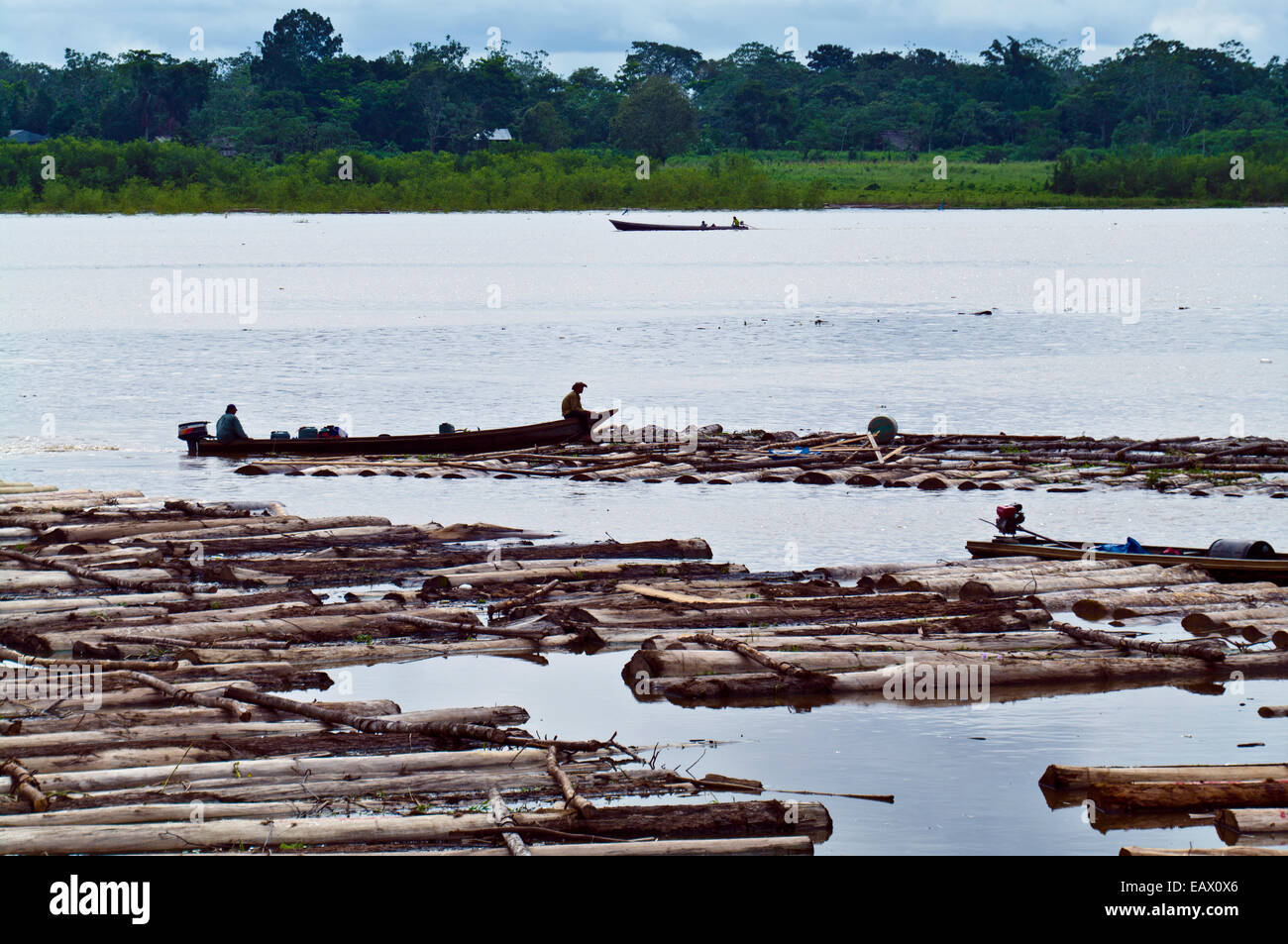 Ein kleines Boot bringt eine Reihe von Protokollen von Regenwald Bäume entlang der erstickten Amazonas geschnitten. Stockfoto