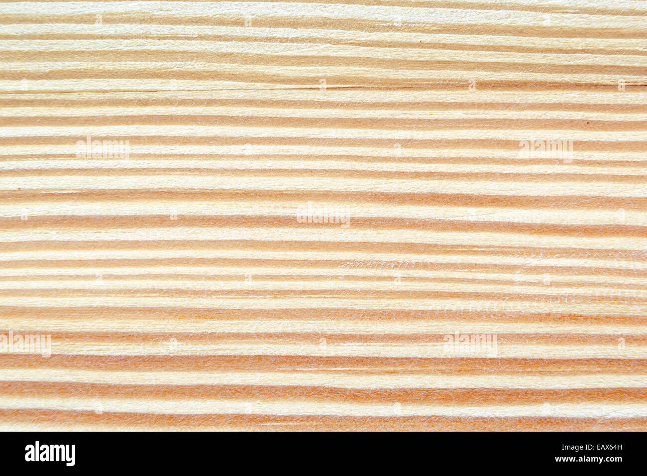detaillierte Muster der gestreiften Holzbrett Stockfoto