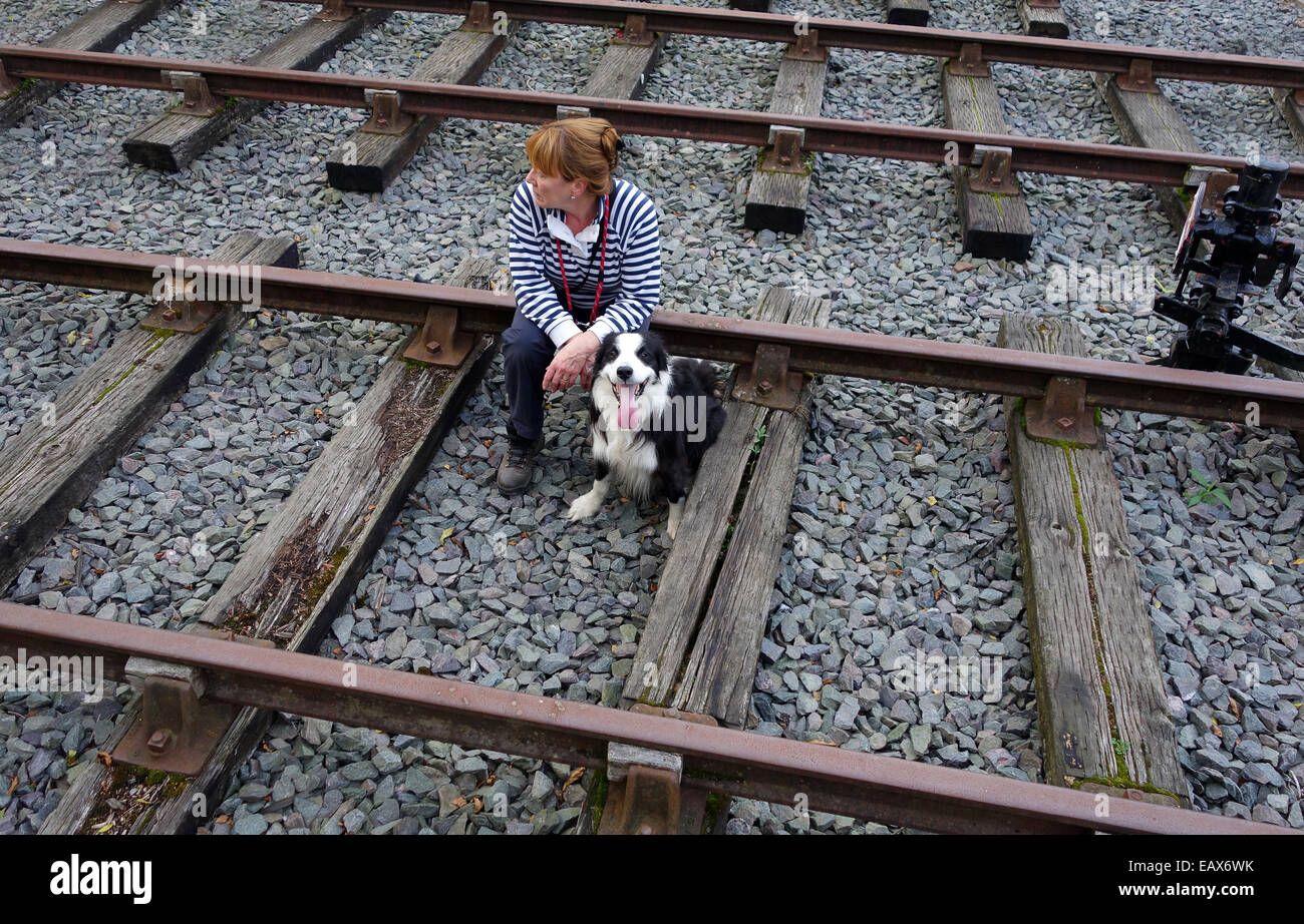 Frau Frau sitzen auf Gleis verfolgt Linie Linien mit Border Collie Hund Uk Stockfoto