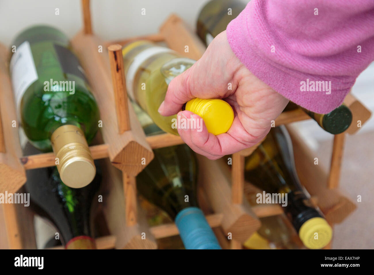 Alltägliche Szene, in der eine Frau eine Flasche Weißwein zu Hause aus Weinregalen verschiedener Weine trinkt. Lifestyle-Konzept. England Großbritannien Stockfoto