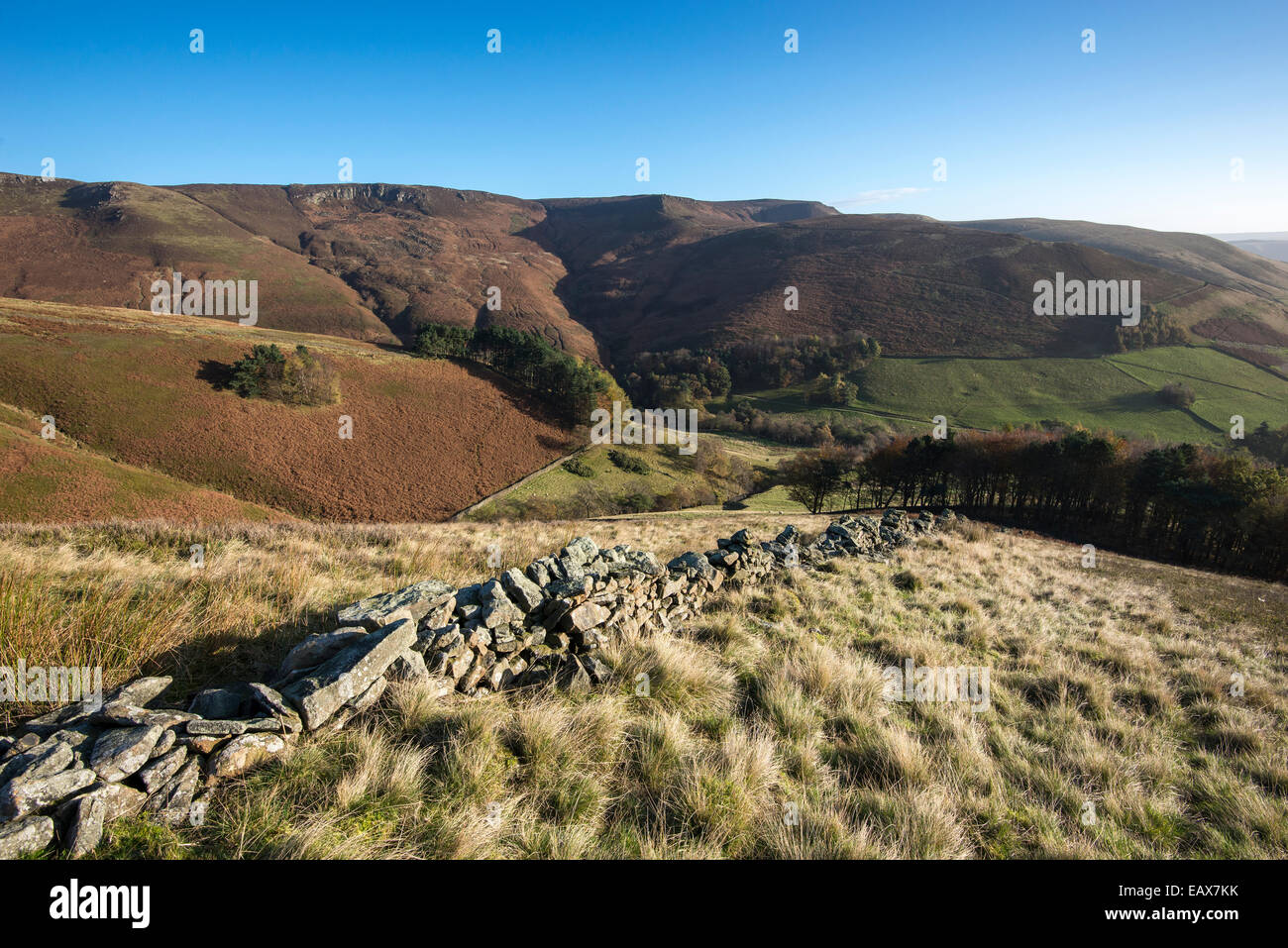 Peak District Landschaft am Grinbrooks Clough, Edale im Peak District. Herbstfärbung an den Berghängen. Stockfoto