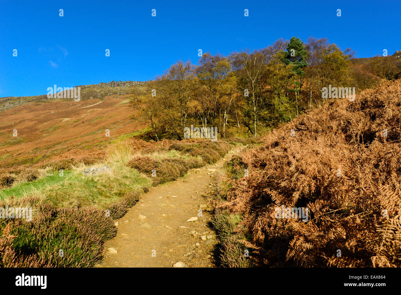 Wanderweg führt Sie durch Grindsbrook Clough in der Nähe von Edale im Peak District. Ein wunderschöner Herbsttag mit lebendigen Farben. Stockfoto