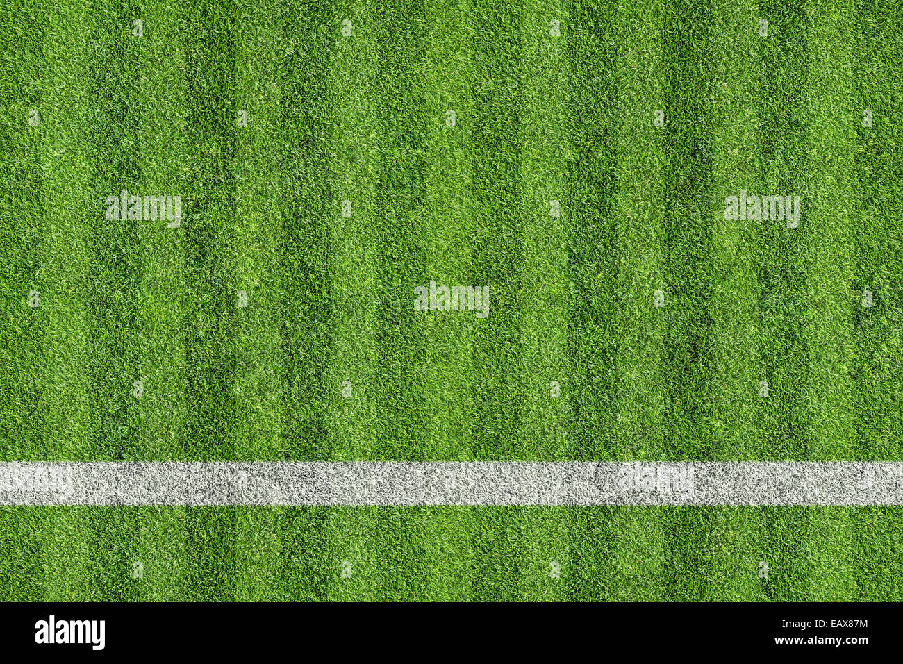 Rasen der Sportplatz Stockfoto