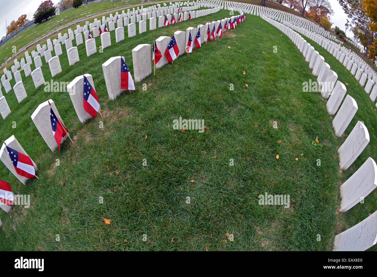 Fisheye-Objektiv Blick auf militärische Grabsteine mit amerikanischen Flaggen auf Zypern Hills National Cemetery in Brooklyn, New York Stockfoto