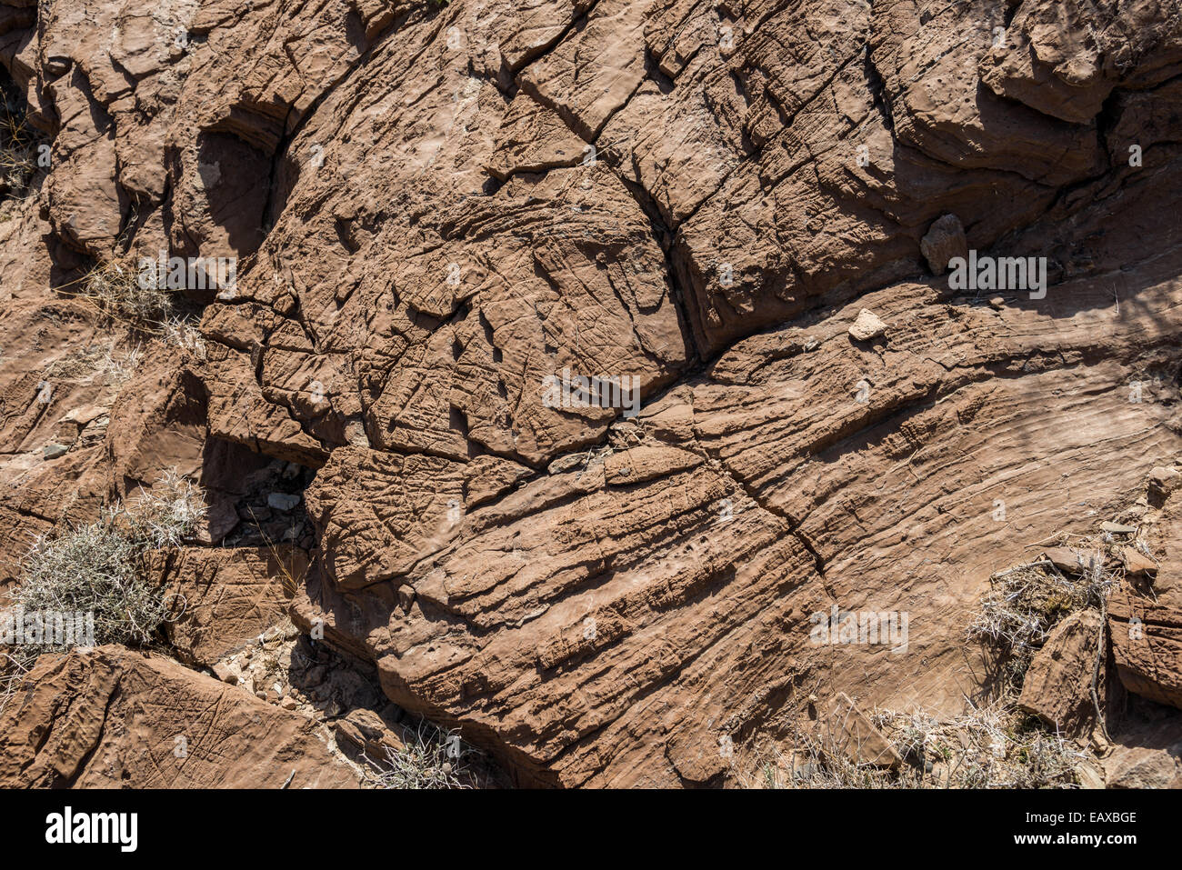 Verwitterte Oberfläche aus Kalksteinen Rock. Oman. Stockfoto