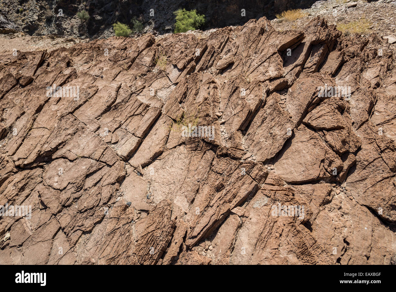 Verwitterte Oberfläche aus Kalksteinen Rock. Oman. Stockfoto