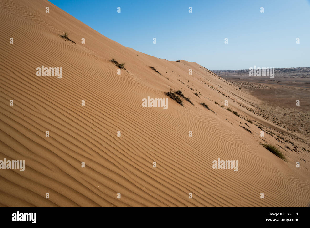 Zarte Wellen auf einer Sanddüne in der Wüste von Oman. Stockfoto
