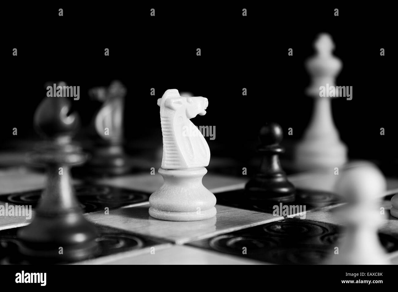 Fotografiert auf einem Schachbrett Schach Stockfoto