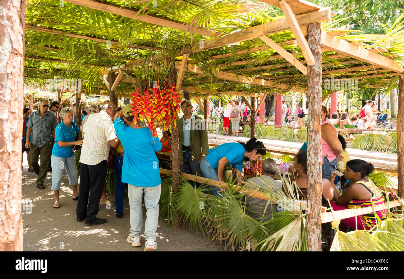 MATANZAS, Kuba - 10. Mai 2014: Lebhafter Straßenmarkt von Blumen und Pflanzen am Tag vor Muttertag. Muttertag feiern Stockfoto