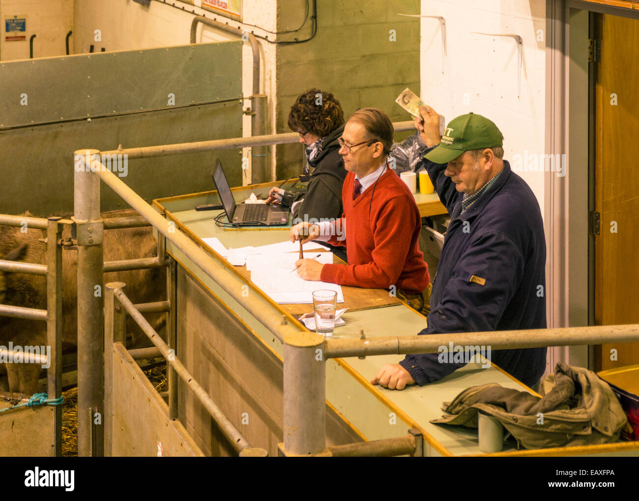 Versteigerer nach Bakewell Vieh Markt Bakewell Peak District Derbyshire England UK GB EU Europa Stockfoto