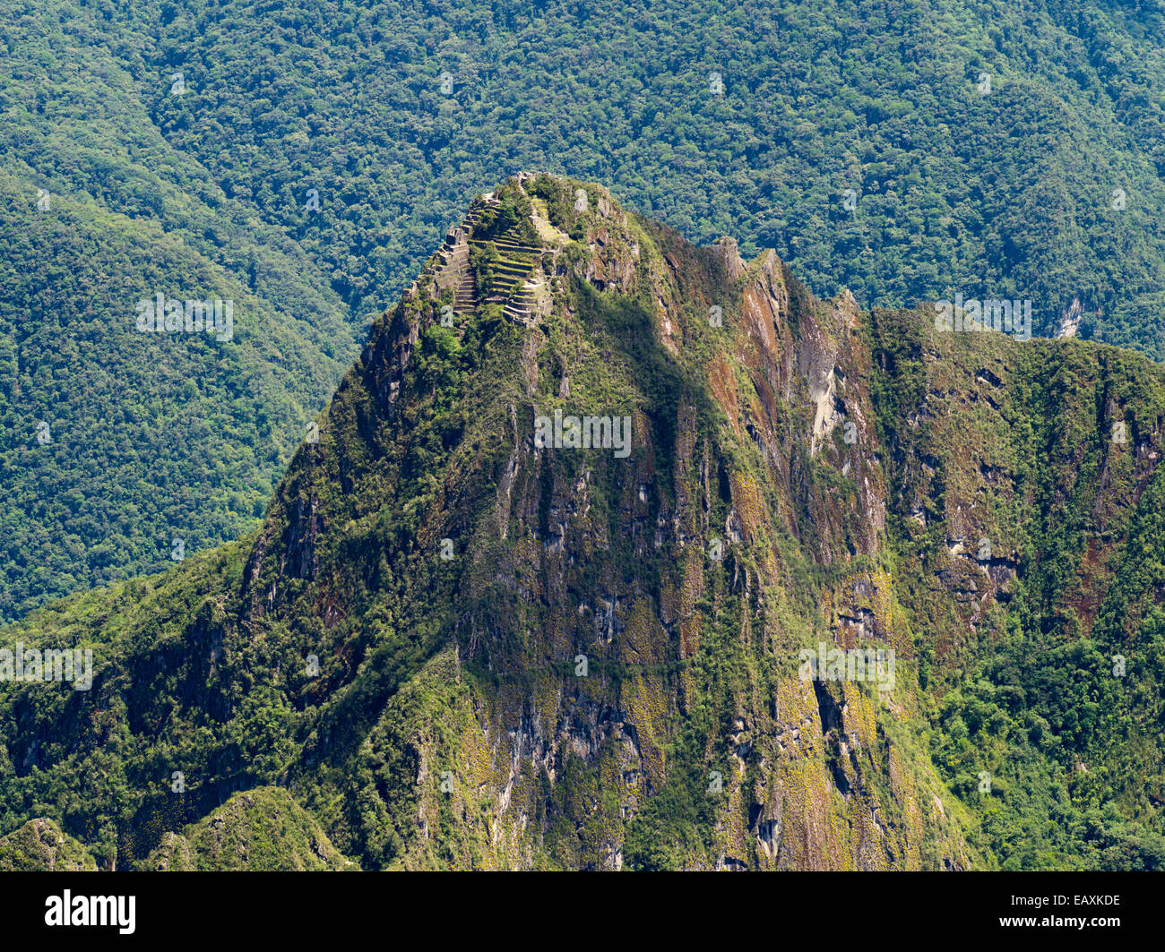 Die Inka-Ruinen von Machu Picchu und der kleine Berg Huayna Picchu, fotografiert von oben auf Montaña Machu Picchu in der Nähe von Aguas C Stockfoto