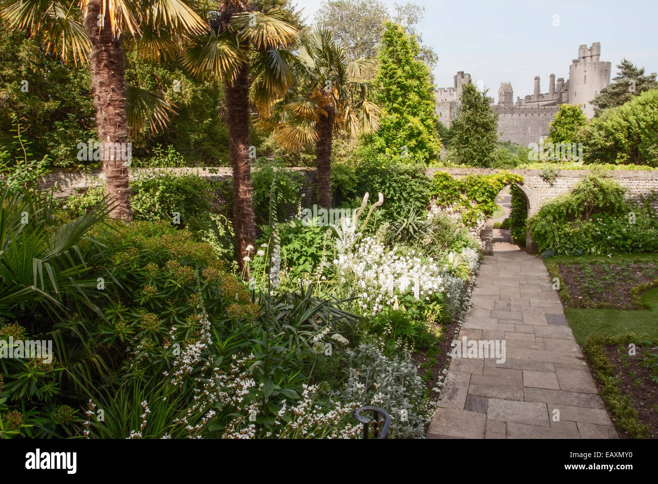 Arundel Castle die weißen Garten Pflanzen Kombination bestehend aus Allium, Digitalis, Lupinus, Onopordium Stockfoto