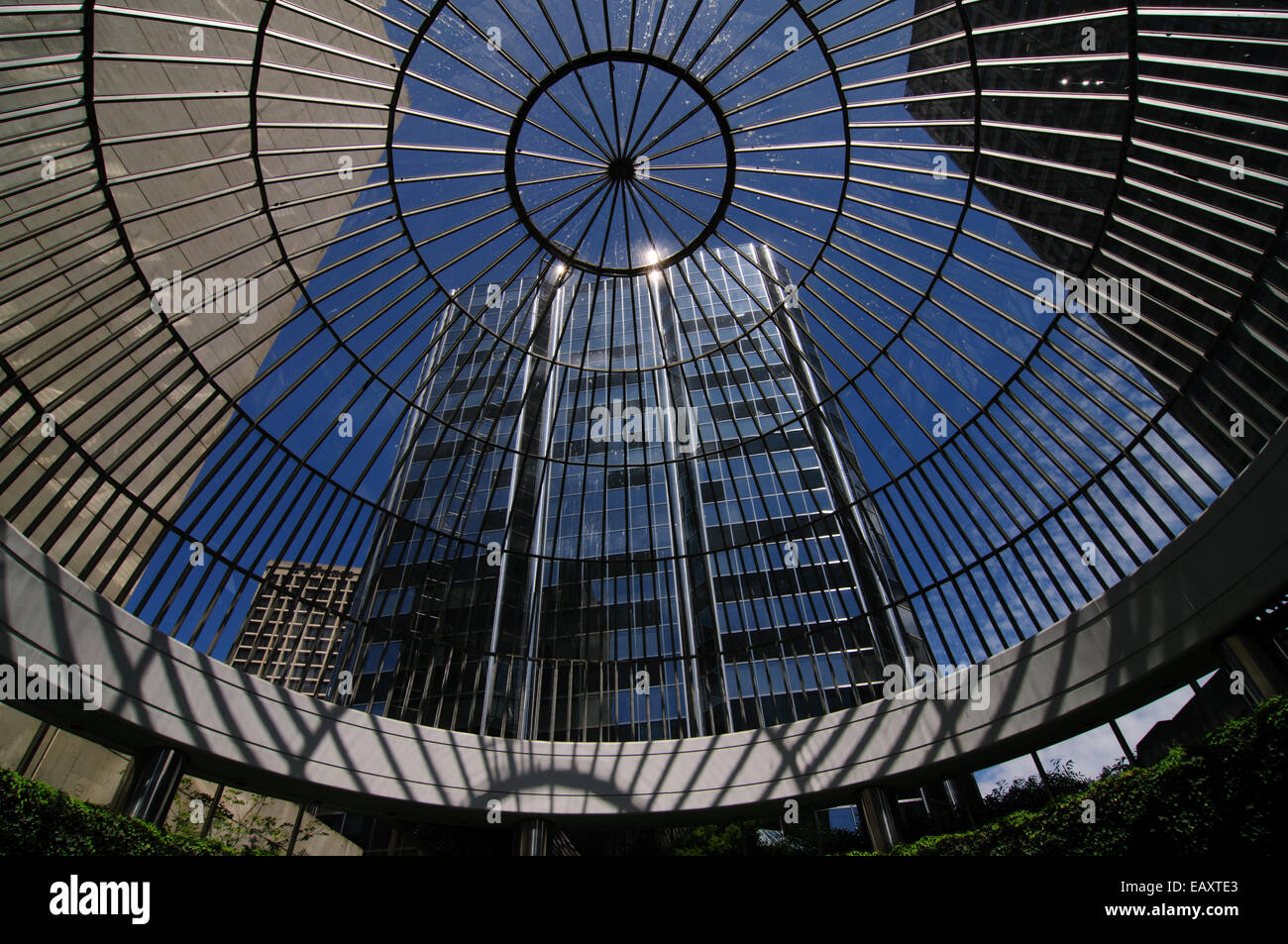 Hohe Gebäude in der Innenstadt von Vancouver, blickte durch eine Glaskuppel Seymour Street Stockfoto