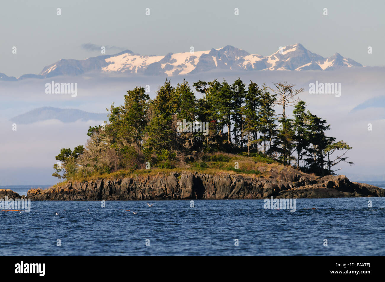 Kleine Insel in der Johnstone Strait zwischen Vancouver Island und dem Festland Berge mit Schnee bedeckte Gipfel Stockfoto