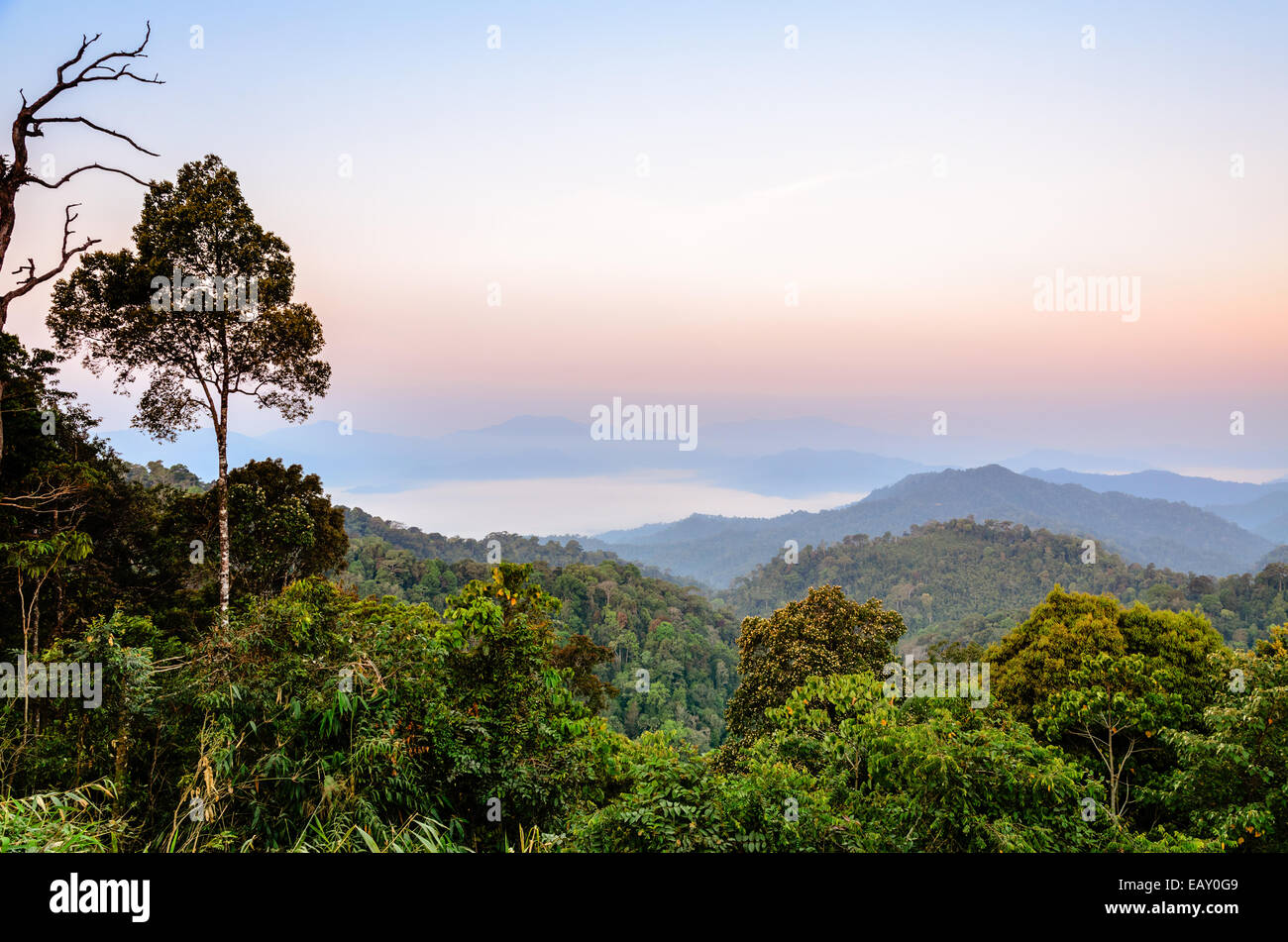 Morgens von Panoen Thung landschaftlich schönen Gebirge zeigen auf Kaeng Krachan National Park Phetchaburi Provinz in Th Stockfoto