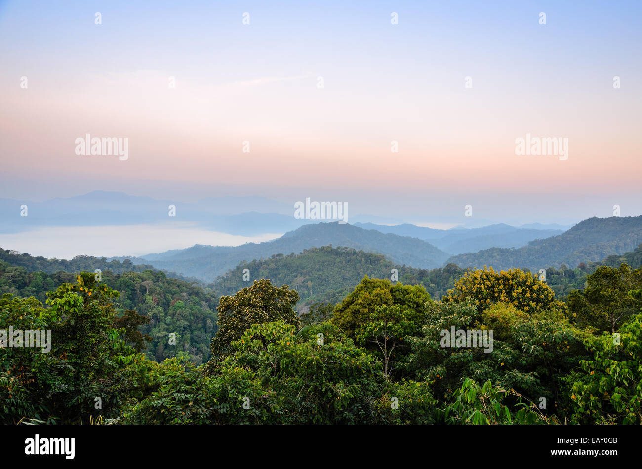 Morgens von Panoen Thung landschaftlich schönen Gebirge zeigen auf Kaeng Krachan National Park Phetchaburi Provinz in Th Stockfoto