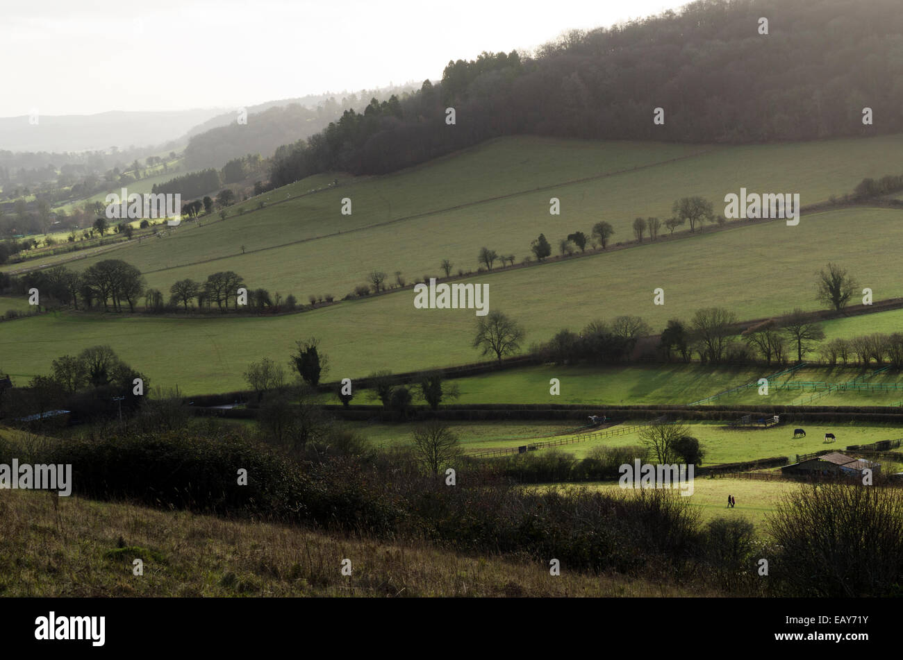 Blick auf die Chilterns in der Nähe von Turville, Oxfordshire, Vereinigtes Königreich Stockfoto