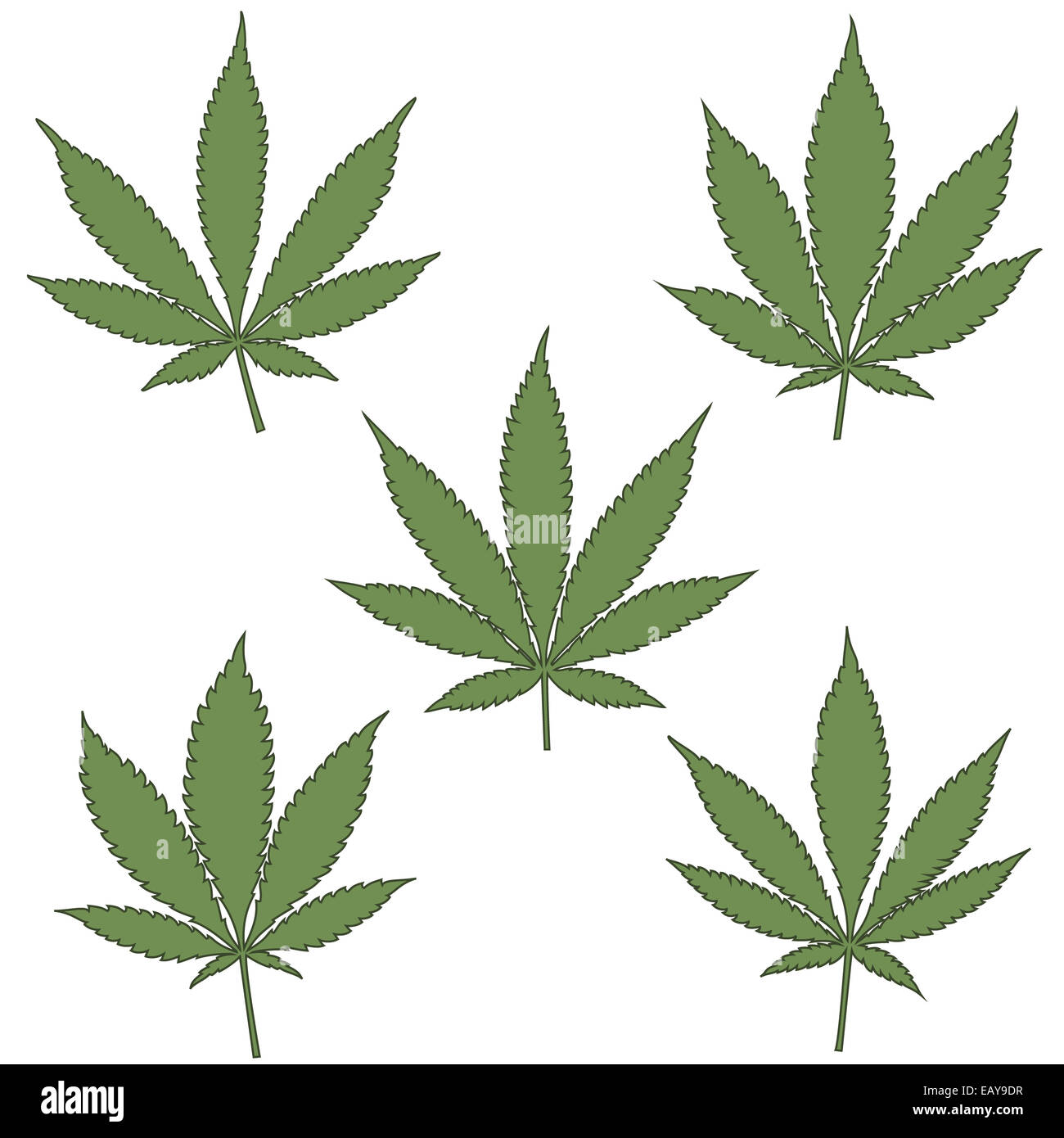 Satz von natürlichen Cannabis Blätter, Vektor-Illustration. Stockfoto