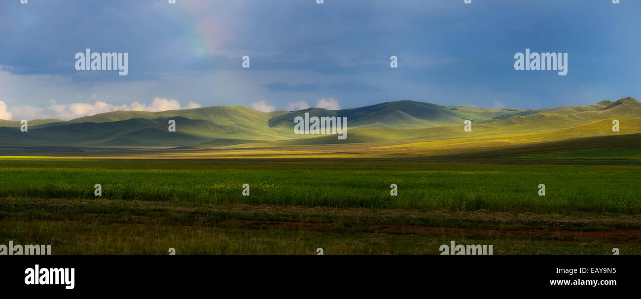 Wiesen, mongolische Steppe, Mongolei Stockfoto